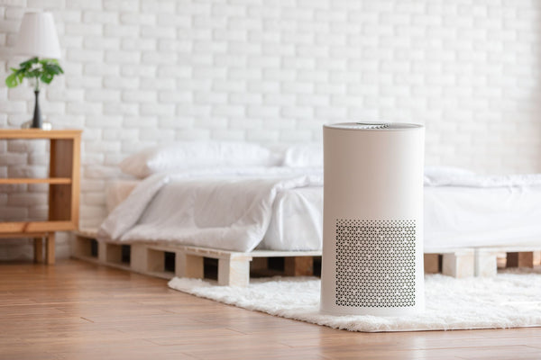 4 Air Purifiers And Mosquito Catchers We Love